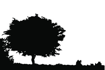 Big tree and bushes with ground, copy space silhouette vector, isolated on white background, nature environment concept, fill with black color tree and bush icon, symbol idea, side view 