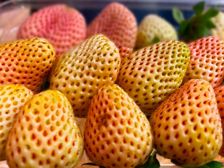 Retail store produce Pineberries Pine Berry White strawberries