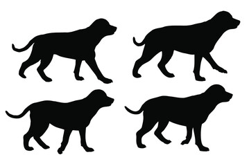 Walking Rottweiler dog silhouette vector set, isolated on white background, pet animal concept, fill with black color bulky dog, four Rottweiler pet canine icon collection, symbol idea, side view  