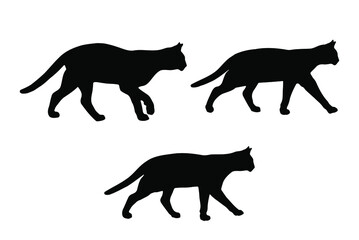 Walking cat silhouette vector set, isolated on white background, pet animal concept, fill with black color house cat, cute and sweet pet icon, symbol idea, side view