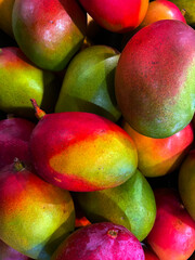 Retail store produce pile of colorful mangos