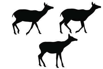 Three walking hornless female deer silhouette vector set, isolated on white background, wild animal concept, fill with black color wildlife animal, female deer icon, symbol idea, side view doe