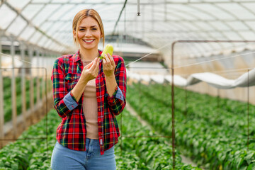 Portrait of a beautiful smiling agronomist woman holding a pepper plant. (vegetables)