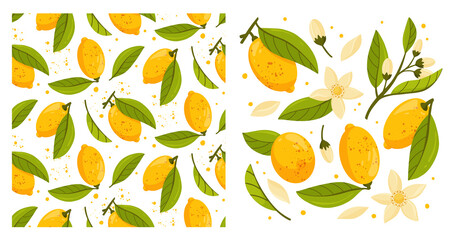Collection and seamless pattern of lemon tree branches with fruits, leaves and flowers isolated on white background. Fresh citrus. Exotical tropical plant. Flat vector illustration.