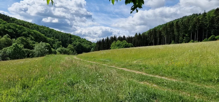 Landscape along the river Our in Luxembourg