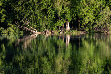 Fototapeta na wymiar Reflets sur le lac