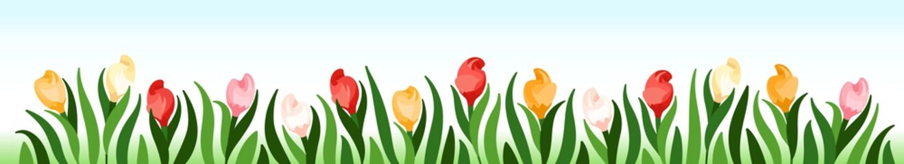 Tulips. Large floral banner with different bright flowers. Rich flowery meadow. Design elements for decoration. Vector graphics