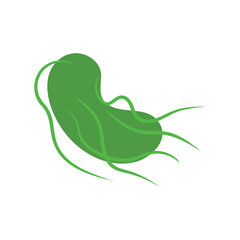 Salmonella Typhi bacteria under the microscope. Medical research of microbes. Biochemistry and analysis concept. Vector illustration.