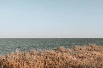 High seashore overgrown with grass and meadow plants. Sea landscape in soft color palette.