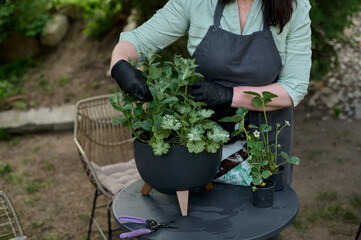 Small business. Woman in an apron and mittens plants flowers in a wooden pot on a background of green garden