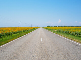 Asphalt country road between fields of blooming sunflowers on a sunny day. Beautiful rural landscape.