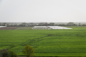 Cultivation of early crops, care and protection of young plants from night frosts. A bird's-eye view of an agricultural plastic greenhouse on a vegetable plantation.