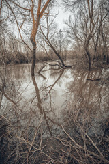 spring has come to nature