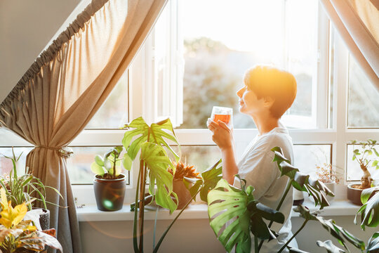 Side view woman drinking tea and looking at the sunrise or sunset while standing at the window in a room with green house plants, enjoying the moment. Relaxing and self-care, personal fulfillment.