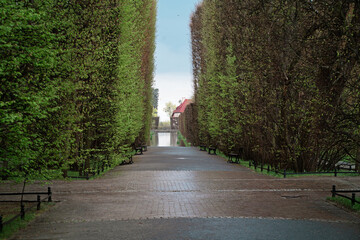 Beautiful city park after the rain. Spring in the Oliva Park of Gdansk, Poland