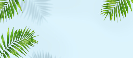 summer background from palm leaves and shadows. - obrazy, fototapety, plakaty