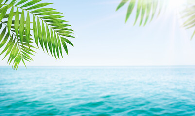 Fototapeta na wymiar summer background of the sea, palm branches and the sun