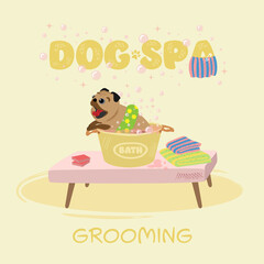 illustration with dog for grooming salon.