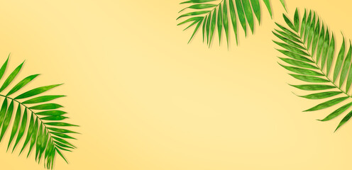 palm leaves on a yellow background. summer banner