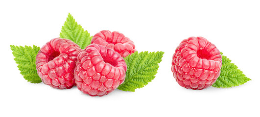 fresh raspberries with leaves on a white isolated background