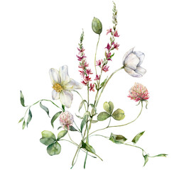 Watercolor meadow flowers bouquet of buttercup, clover, bindweed and sage. Hand painted floral poster of wildflowers isolated on white background. Holiday Illustration for design, print, background.
