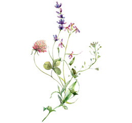 Naklejka na ściany i meble Watercolor meadow flowers bouquet of clover, lavender, cypress and capsella. Hand painted floral poster of wildflowers isolated on white background. Holiday Illustration for design, print, background.