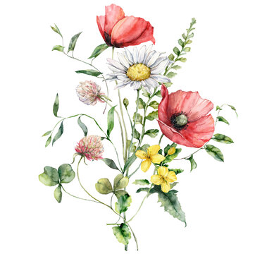 Watercolor meadow flowers bouquet of poppy, chamomile, clover and geranium. Hand painted floral poster of wildflowers isolated on white background. Holiday Illustration for design, print, background.