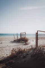 beach in the morning