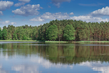 Fototapeta na wymiar Jezioro położone w lesie. Brzegi porasta trawa w głębi wysokie iglaste i liściaste drzewa. Drzewo jest lekko zachmurzone. Jest letni słoneczny dzień.