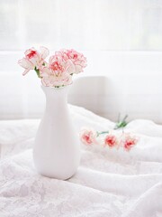 Pink white pastel Dianthus Carnation flowers in vase on embroidered Clove pink still life for background or wallpaper text letter ,mother's day ,women's day soft color romantic love tone copy space 