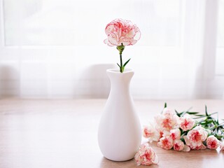 Pink white pastel Dianthus Carnation flowers in vase on table, Clove pink ,still life for...