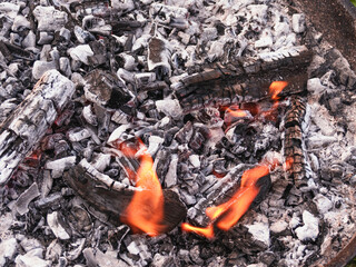 Dogasające ognisko. Warstwa żarzących się węgli pokrytych szarym nalotem popiołu. Spomiędzy węgli wydostają się pojedyncze, niewielkie płomienie. - obrazy, fototapety, plakaty