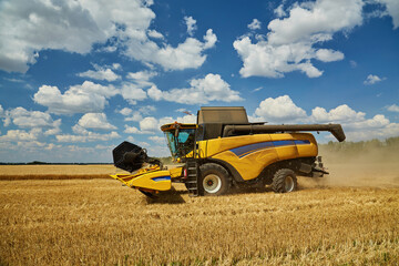 Combine harvester harvests ripe wheat.