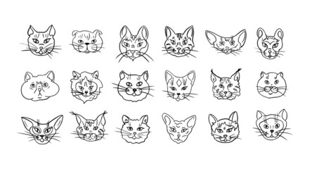Big Set of different cats  in vector ,doodle.Vector illustration.