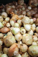 onions in the market on the counter