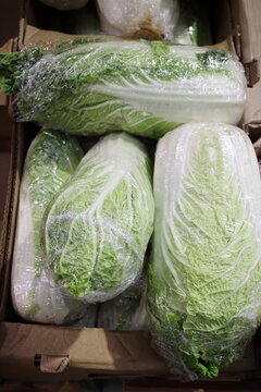 green chinese cabbage in the market on the counter