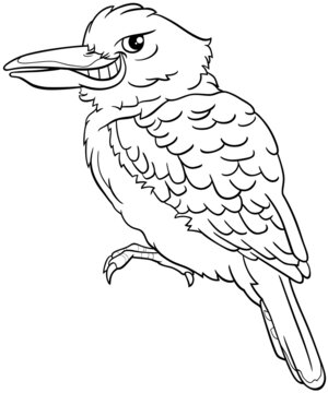 recommend clip art: cartoon kookaburra bird animal character coloring page