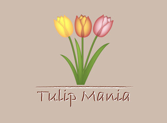 Tulip mania floral card, vector illustration