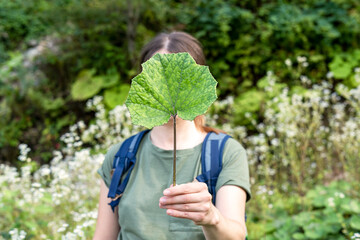 Young woman holding a green burdock leaf in her hand in front of her face in forest faceless...