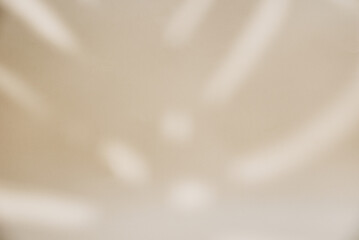 Abstract background with tropical palm leaves shadow on beige wall, Creative minimal design with copy space, Summer concept, flat lay