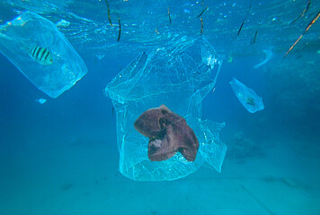 plastic trash floating in the sea