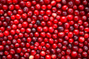 Cranberry (cowberry). Fresh red cranberries background. Food background. Top view 