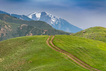 Fototapeta na wymiar Landscape of field road in mountains in Kazakhstan.