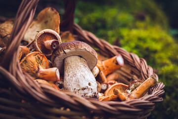 Delicious mushrooms in a brown wooden basket