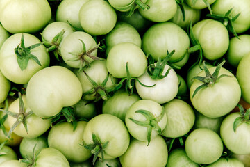 Pile of raw natural green tomatoes. Pickle green tomatoes in a supermarket