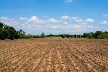 Foto op Canvas Empty dry cracked swamp reclamation soil, land plot for housing construction project with car tire print in rural area and beautiful blue sky © jittawit.21