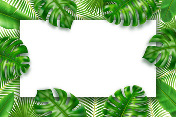 Tropical leaves frame background border green leaf and spare place for text. Vector illustration of summer greenery, borders with spare place for text, floral jungle foliage of monstera and palm trees © Sensvector