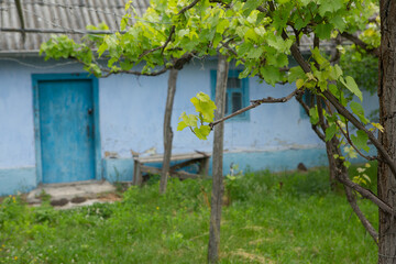 The village of Stroiesti is a very picturesque rural town in the Republic of Moldova, located on the banks of the Dniester River