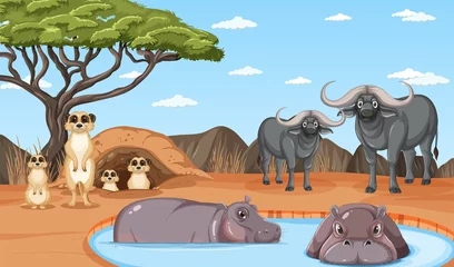 Dryland forest landscape with animals © blueringmedia