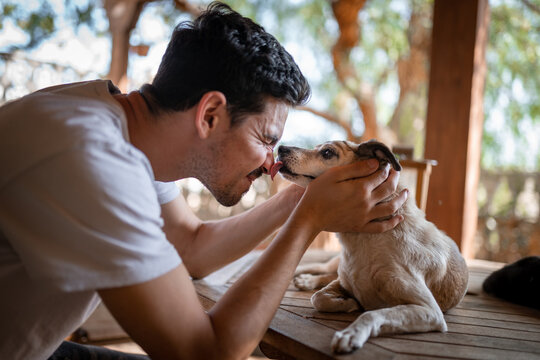close up. a dog licks a young man,s nose in the garden